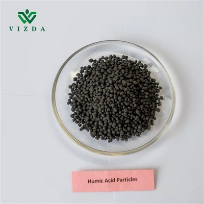 Acid humic granular