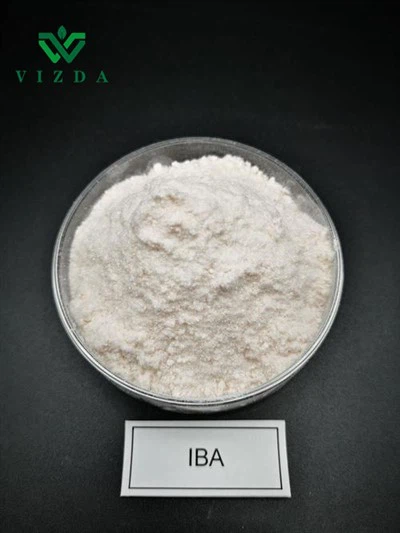 IBA Acid indol-3-butiric