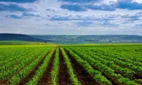 Brațul de risc CLAAS investește în startup-ul german de agronomie IA Phenom-I...