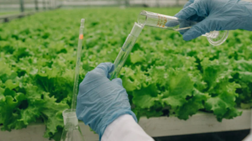 Industria îngrășămintelor se transformă către sisteme agronomice integrate, d...
